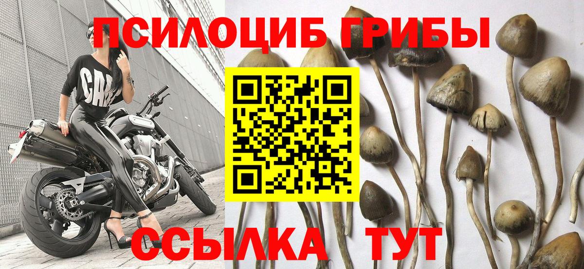Псилоцибиновые грибы Magic Shrooms  Вход с VPN  Альметьевск 